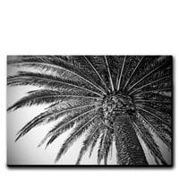 Image 1 of PALM VIBES