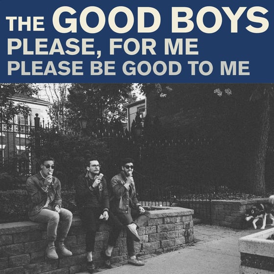 Image of The Good Boys - Please For Me (7" Vinyl)