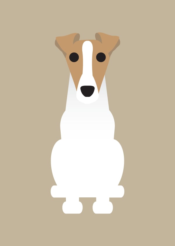 Fox Terrier Collection
