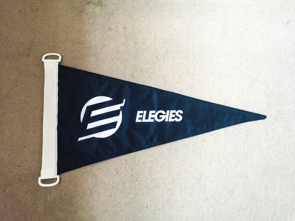 Image of Elegies flag
