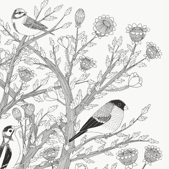 Large Print: 7 Birds
