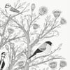 Large Print: 7 Birds