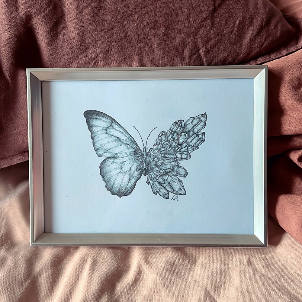 Image of Metamorphosis Butterfly