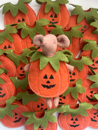 Image 1 of Mouse Pumpkin outfit