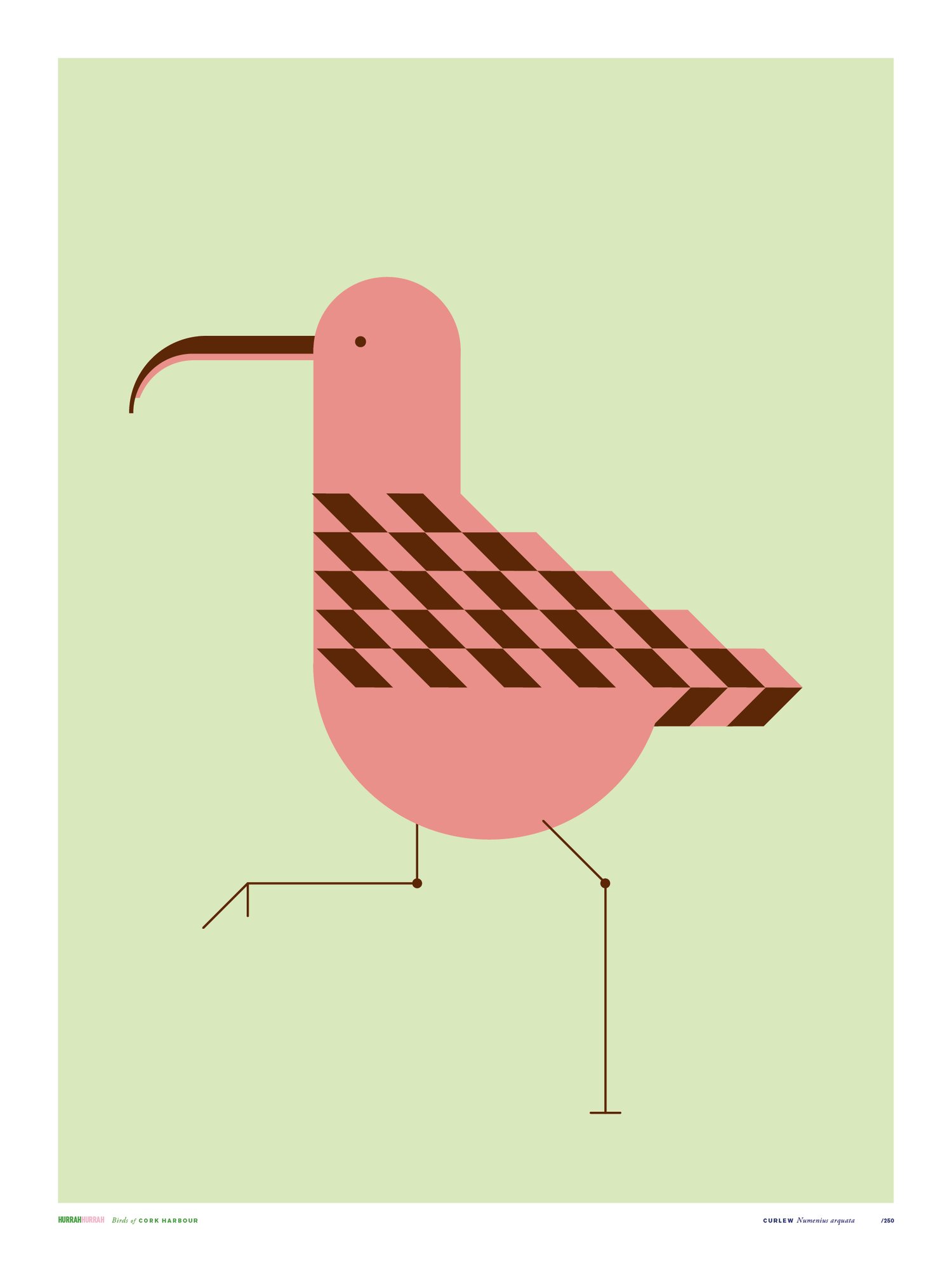 Curlew / Cork Harbour Bird Series