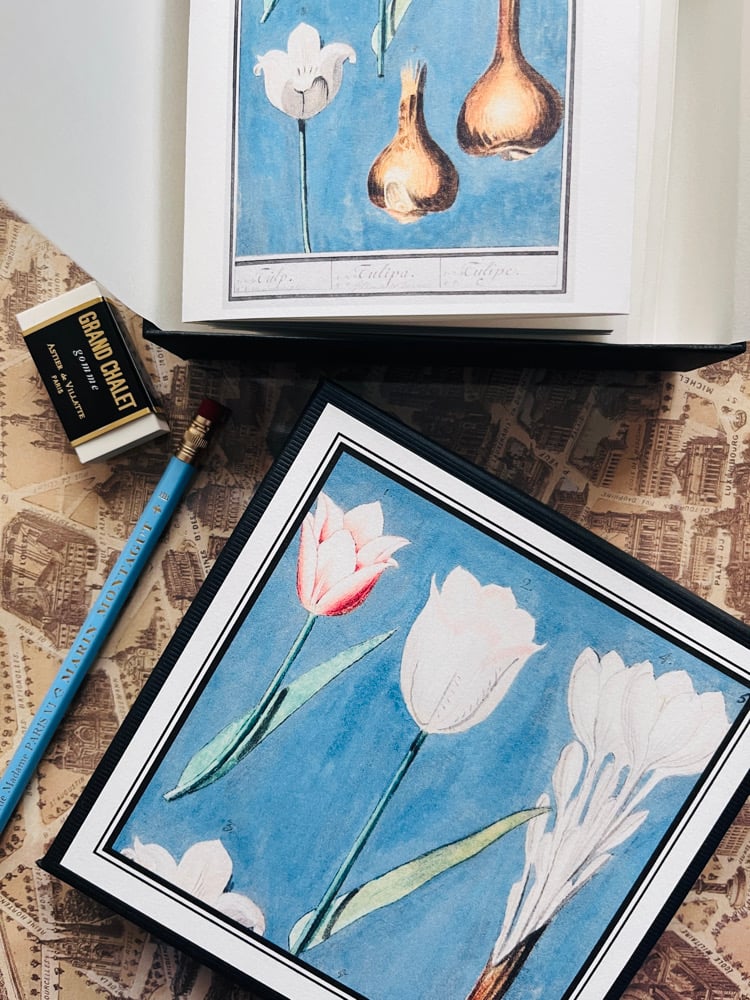 Image of CFT TULIPES