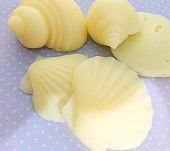 Image of French Lavender And Rose Geranium Seashell Soap