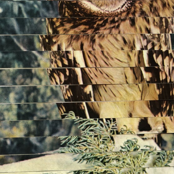 Image of Gottwax EP3 (Pre Order)