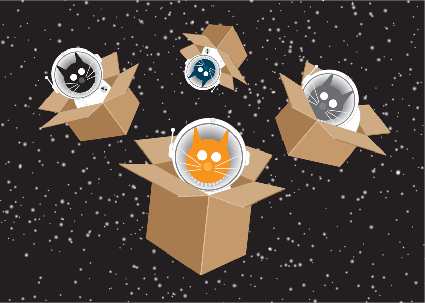 Space Cat Collection