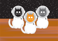 Image 1 of Space Cat Collection