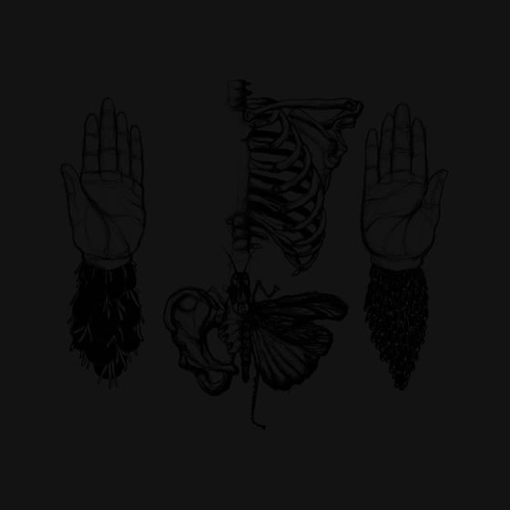 Image of Columns of Subsidence 7"EP