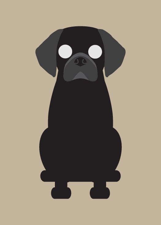 Puggle Collection