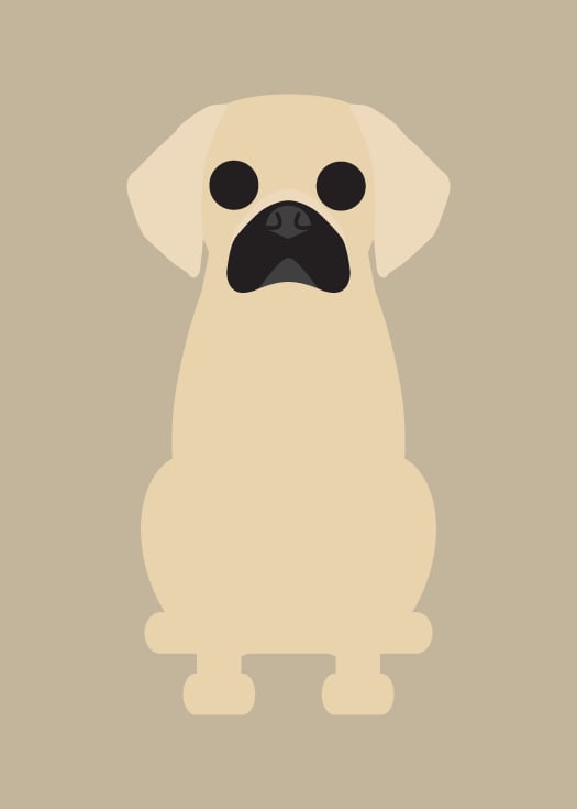 Puggle Collection