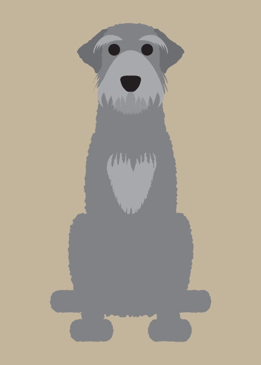 Irish Setter, Irish Wolfhound, Jack Russell, Maltese, Mastiff Collection