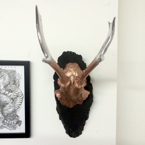 Image of Rose gold, silver & matt black painted European mount deer skull