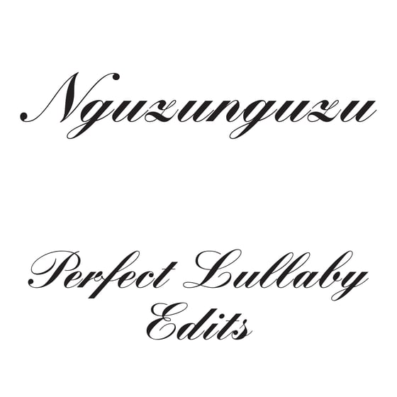 Image of Perfect Lullaby Edits 12"
