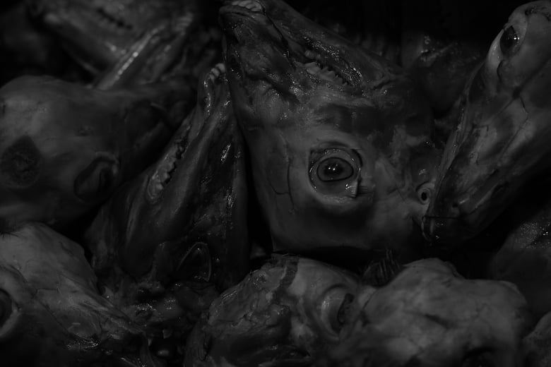 Image of Gula - Atenas 2016