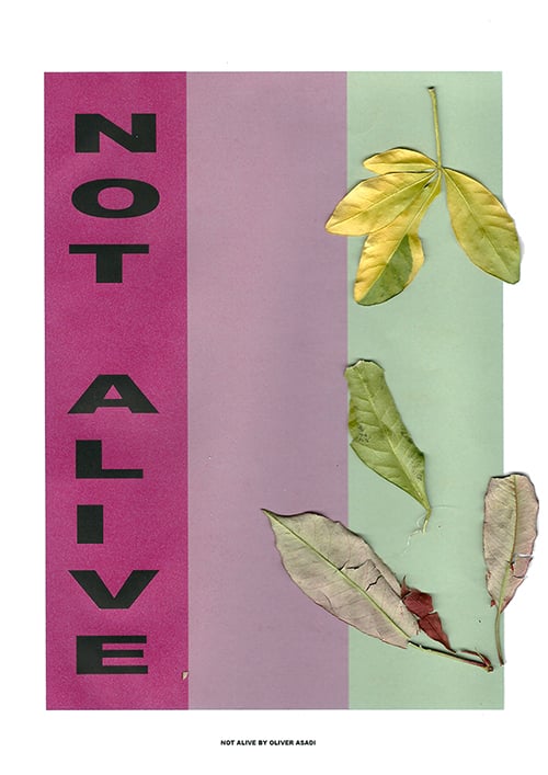 Image of NOT ALIVE PRINT