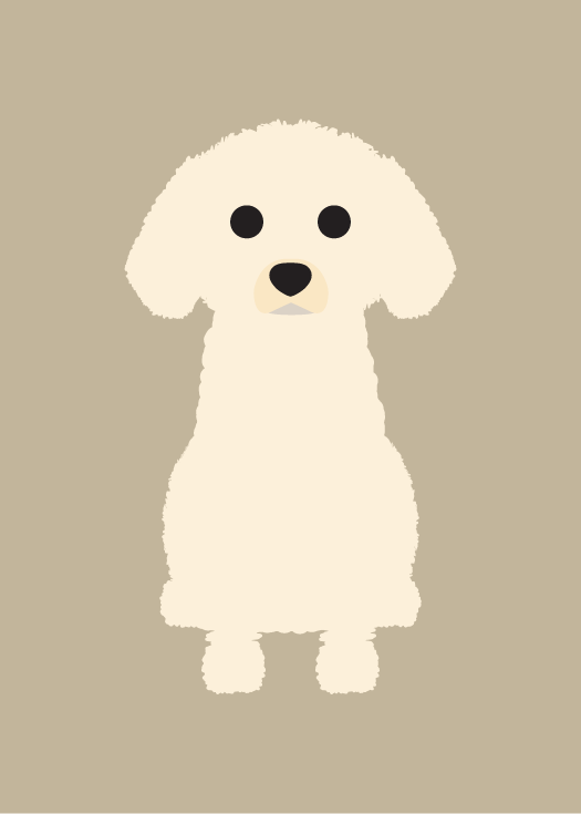 Toy Poodle Collection