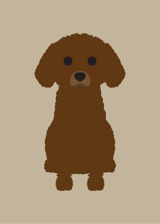 Toy Poodle  Collection