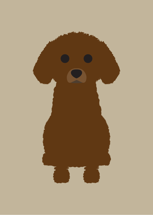 Toy Poodle Collection