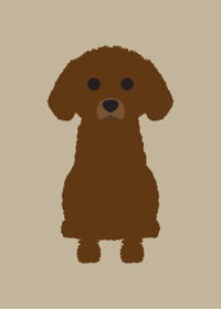 Image 3 of Toy Poodle  Collection