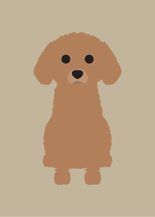 Toy Poodle Collection