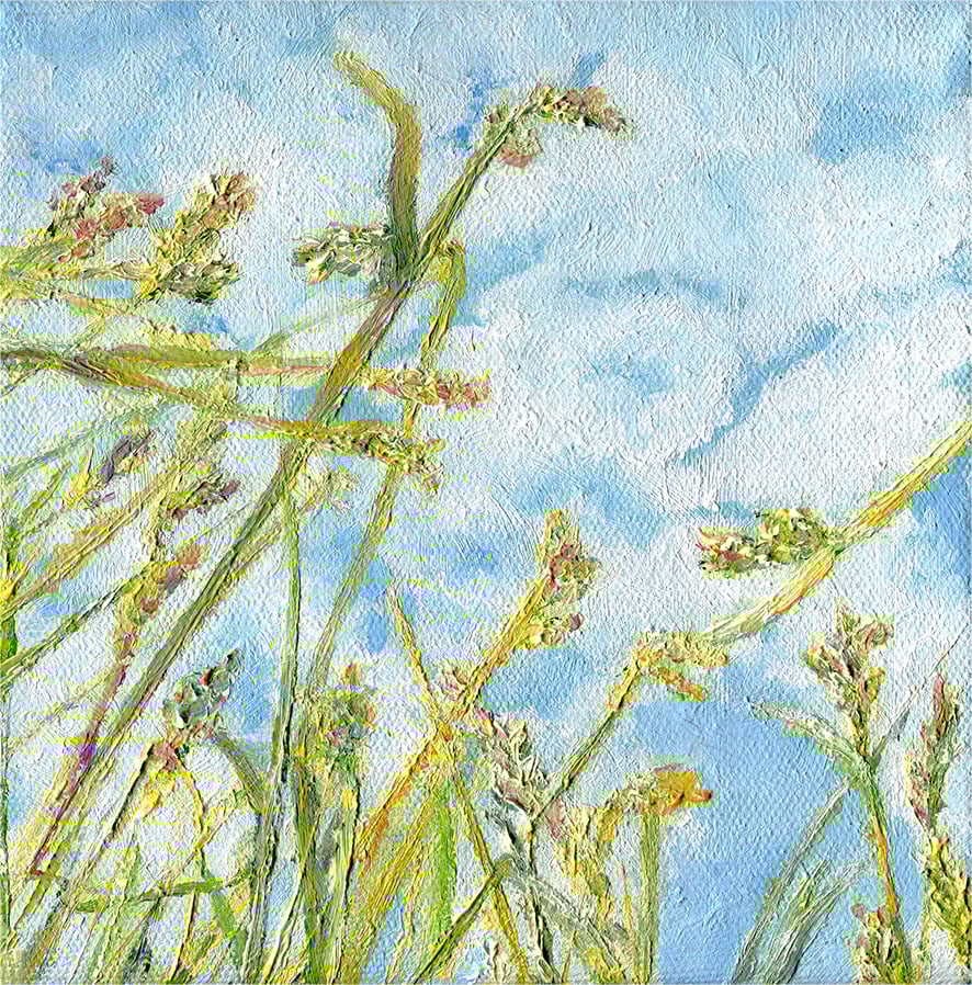 Image of Through the Grass