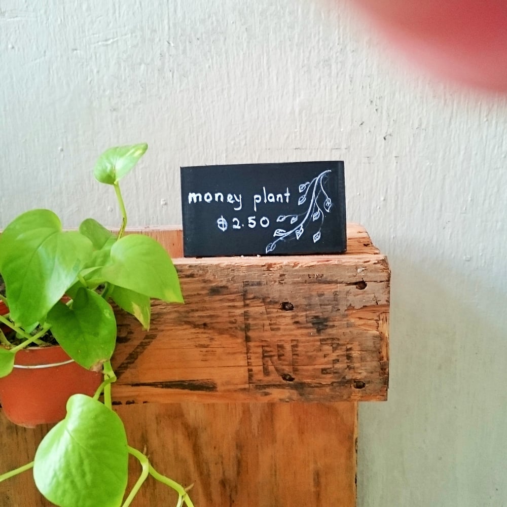 Set of 3 Slanting Mini Chalkboard (Use liquid chalk marker and regular