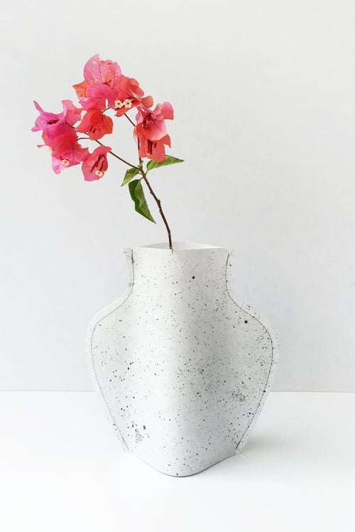 Image of Popup vase - Constellation