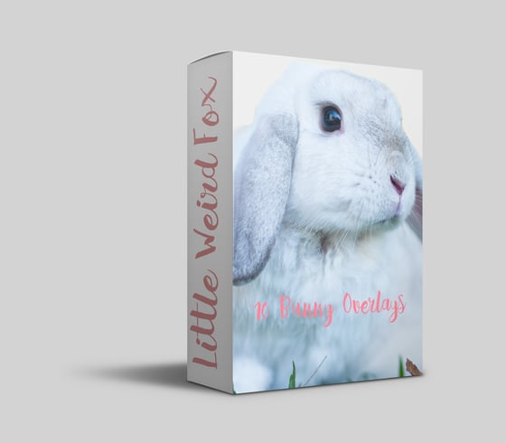 Image of 10 Bunny Overlays