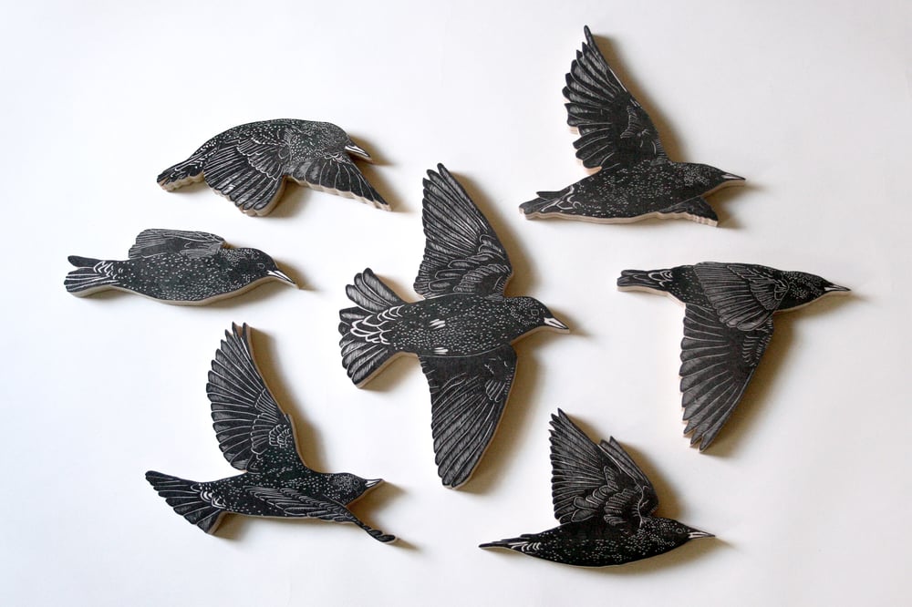 Set of 7 European Starlings | Nic Annette Miller