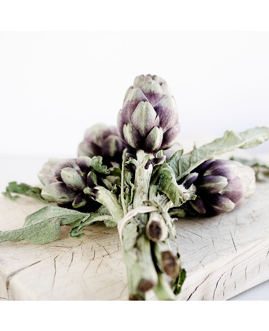 Jens Storch :: Office LONDON :: Studio FRANCE