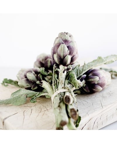 Artichokes - Jens Storch :: Office LONDON ::  Studio FRANCE  