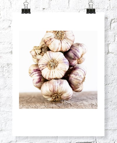 Garlic - Jens Storch :: Office LONDON ::  Studio FRANCE  