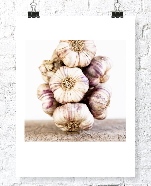 Garlic - Jens Storch :: Office LONDON :: Studio FRANCE