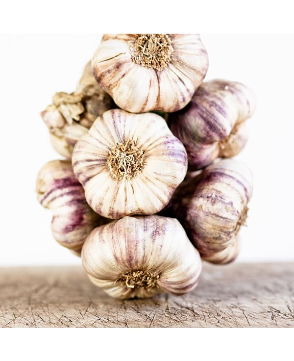 Garlic - Jens Storch :: Office LONDON :: Studio FRANCE