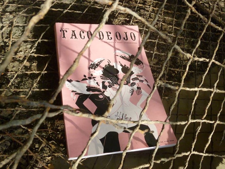 Image of The Pink Book