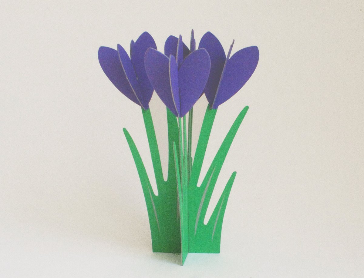Image of 2 x CUT&MAKE - CROCUS Cards