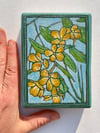 Hoary Puccoon 