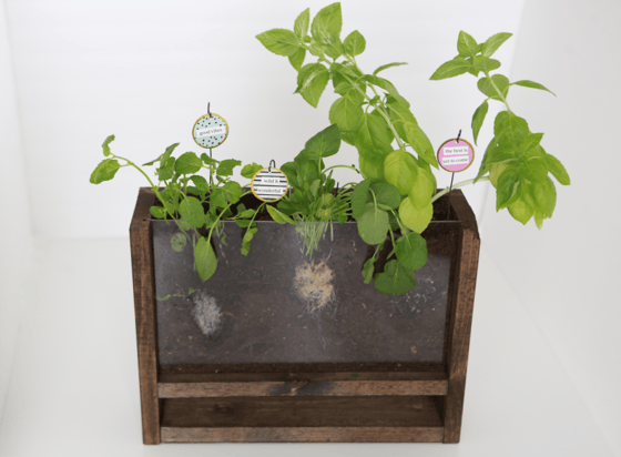 Image of CRAFT EVENT: Acrylic + Wood Planter