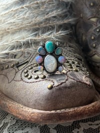 Image 1 of The Wildflower Divide