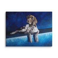 Image 2 of Blue German Shorthaired Pointer