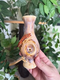 Image 7 of Mushroom or Slug