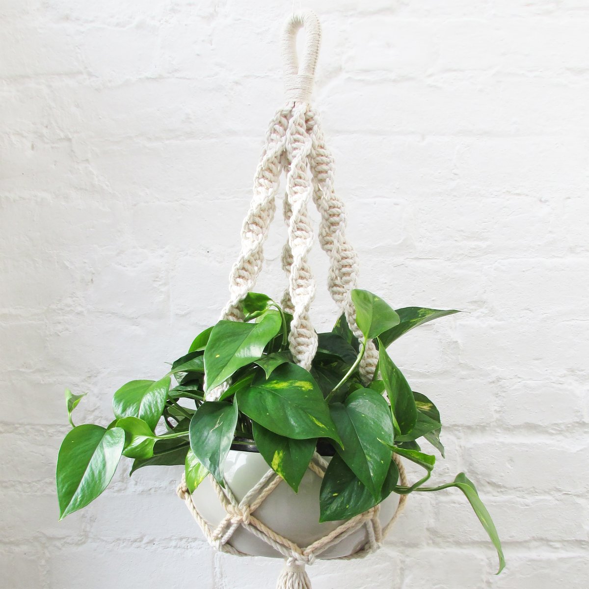 ginamarris  Spiral Macrame Plant Hanger  Peach