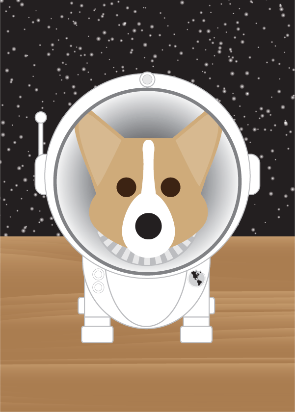 Corgi Collection #1