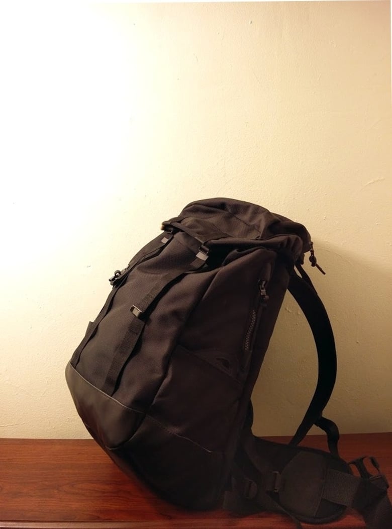 Image of visvim 25L backpack (black)