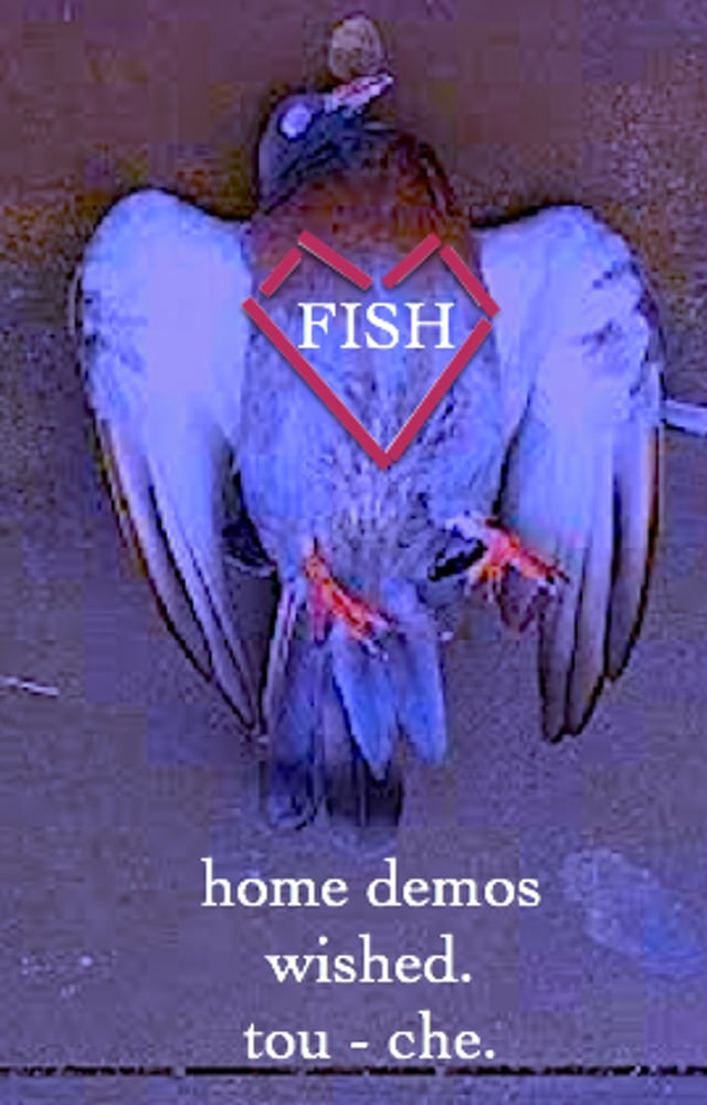 Image of FISH - home demos