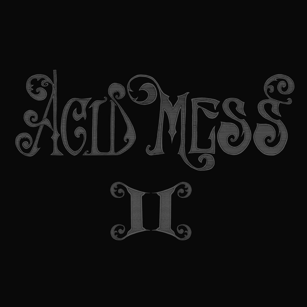 Image of DF:002 Acid Mess - "II"