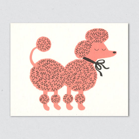Image of Pink Poodle